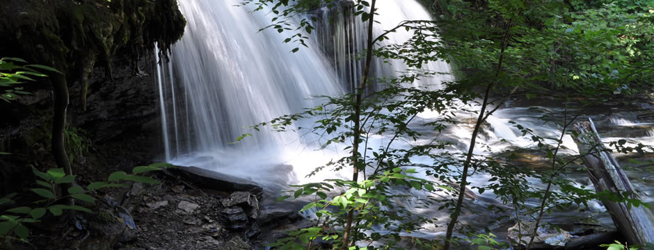 短信验证码轰炸平台