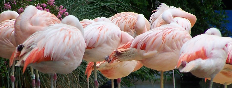 稳定的购买网站推荐的轰炸手机号码软件